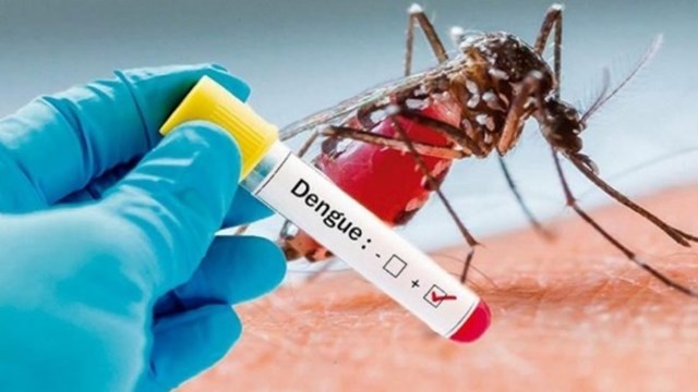 Director del Robert Reid alerta sobre el dengue: «Hay que mantenerlo bajo vigilancia”