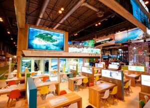 BPD_001-[Imagen-de-archivo]